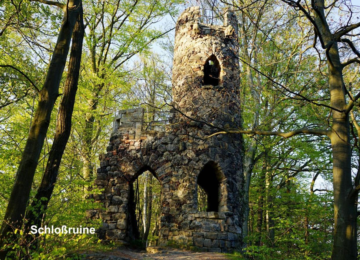 Ferienwohnung Fuessel Rathmannsdorf المظهر الخارجي الصورة