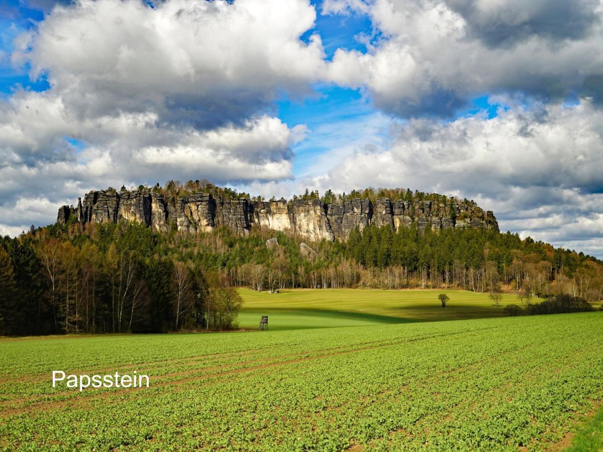 Ferienwohnung Fuessel Rathmannsdorf الغرفة الصورة
