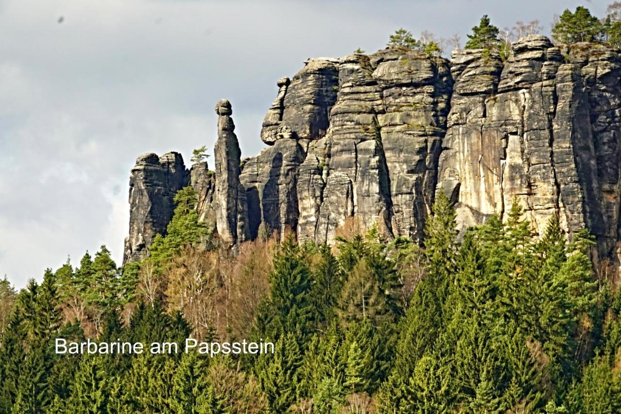 Ferienwohnung Fuessel Rathmannsdorf الغرفة الصورة
